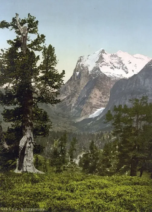 Framed Print : Wetterhorn, general view, Bernese Oberland