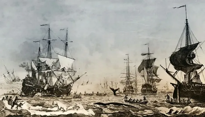 Framed Print : Whaling in the 18th century Framed Print : Whaling in the 18th century