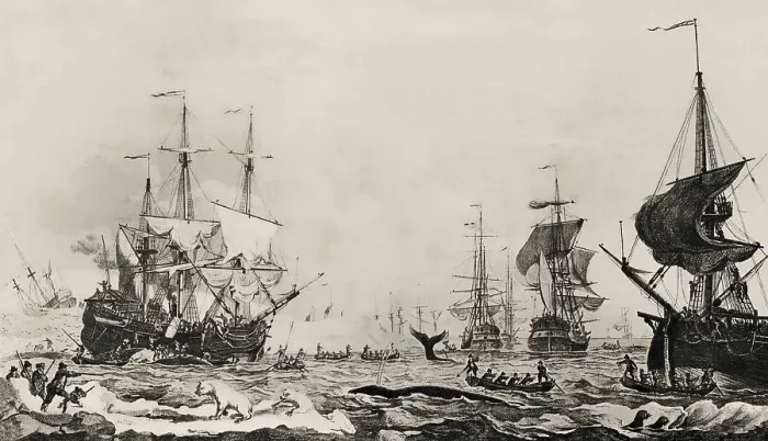 Framed Print : Whaling in the 18th century