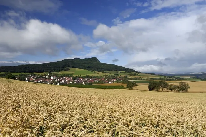 Framed Print : Wheat-field and the hegau volcano Hohenstoffeln in the background Framed Print : Wheat-field and the hegau volcano Hohenstoffeln in the background