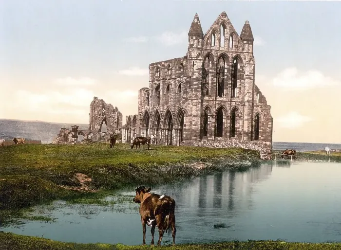 Framed Print : Whitby Abbey, Whitby Abbey, a former monastery in Whitby Framed Print : Whitby Abbey, Whitby Abbey, a former monastery in Whitby