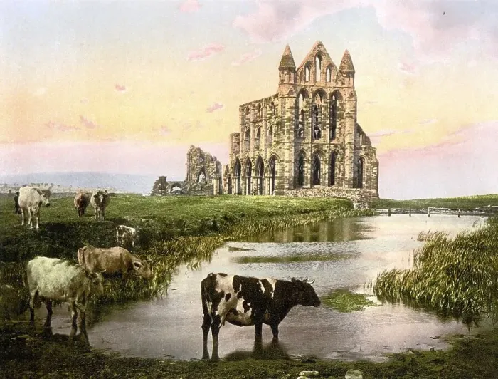 Framed Print : Whitby Abbey, Whitby Abbey, a former monastery in Whitby