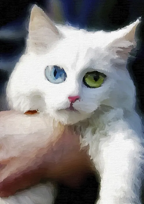 Framed Print : White cat on mother hands backgroun digital art painted image