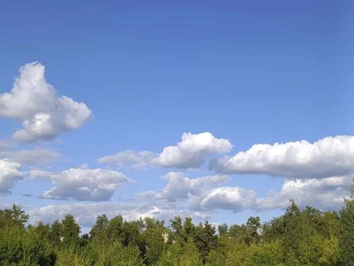 Framed Print : White clouds floating in blue sky over forest
