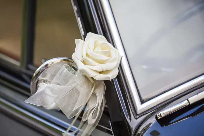 Framed Print : White rose on the mirror of a classic car