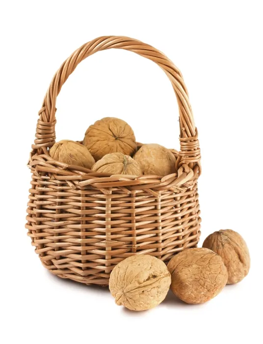 Framed Print : Wicker basket with walnuts isolated on a white background