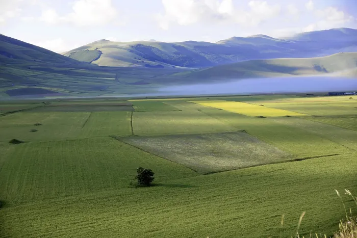 Framed Print : Wide green fields with misty hills in the background Framed Print : Wide green fields with misty hills in the background