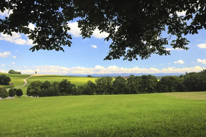 Framed Print : Wide landscape with fields and views of the Alps Framed Print : Wide landscape with fields and views of the Alps