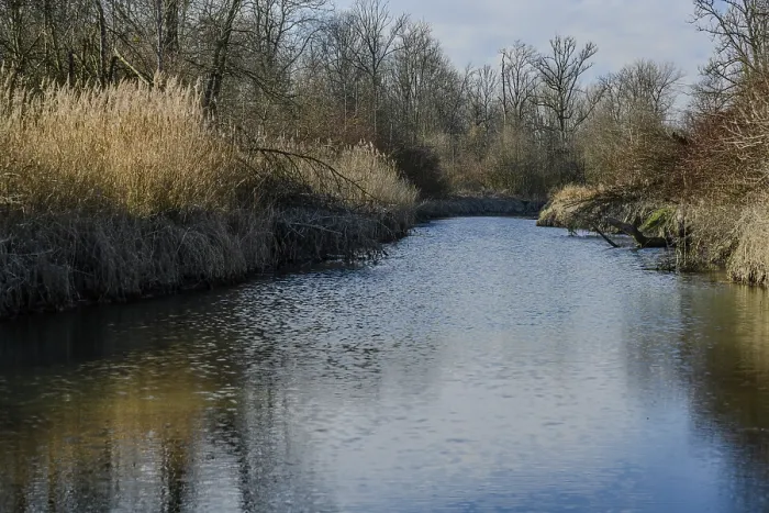 Framed Print : A wide river flows through a wintry landscape with bare trees