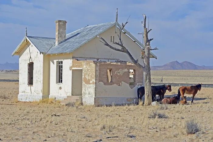 Framed Print : Wild horses at derelict Garub railway station building