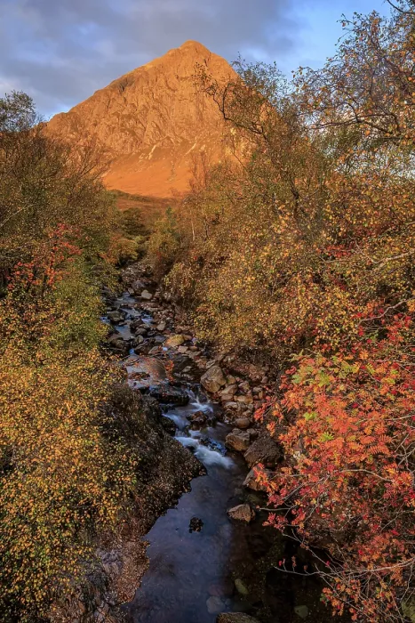 Framed Print : Wild river, autumn colours, morning light