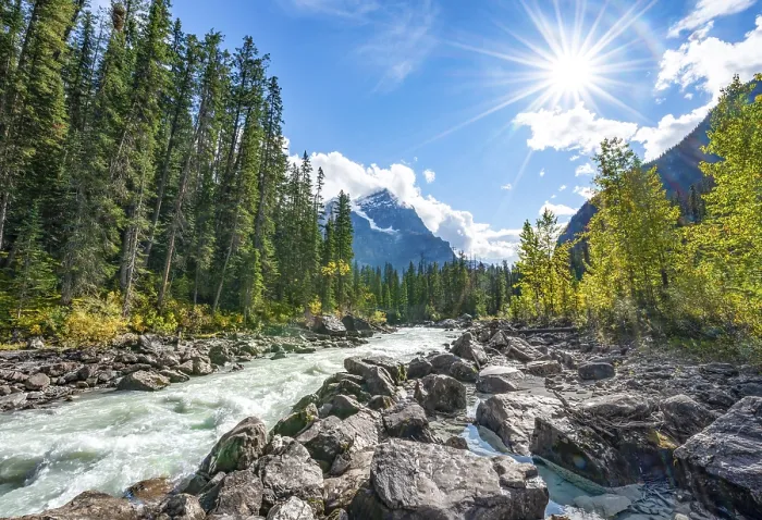 Framed Print : Wild river in Yoho Valley, Beautiful weather Framed Print : Wild river in Yoho Valley, Beautiful weather