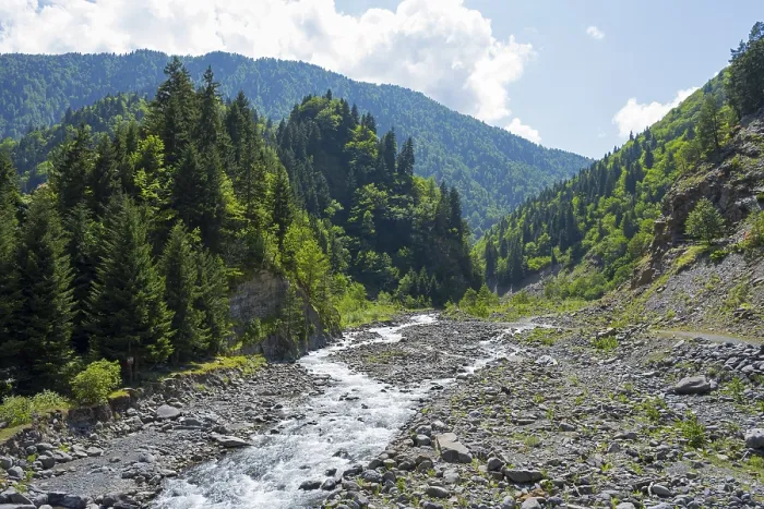 Framed Print : Wild stream flows through a stony forest path surrounded by green mountains under a blue sky Framed Print : Wild stream flows through a stony forest path surrounded by green mountains under a blue sky