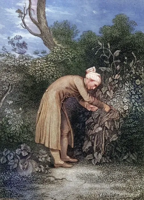 Framed Print : William Cowper (born 26 November 1731 in Berkhamstead) Framed Print : William Cowper (born 26 November 1731 in Berkhamstead)