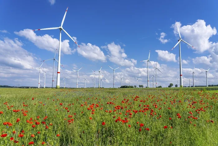Framed Print : Wind farm, field with flower strips