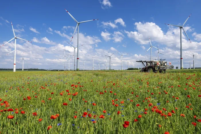 Framed Print : Wind farm, field with flower strips