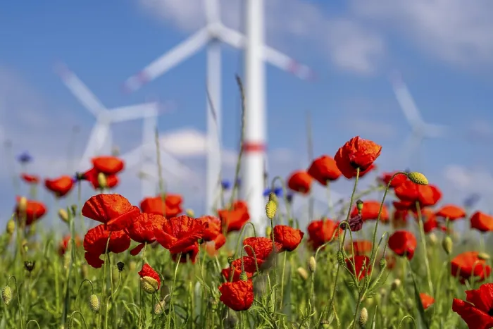 Framed Print : Wind farm, field with flower strips