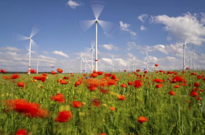 Framed Print : Wind farm, field with flower strips