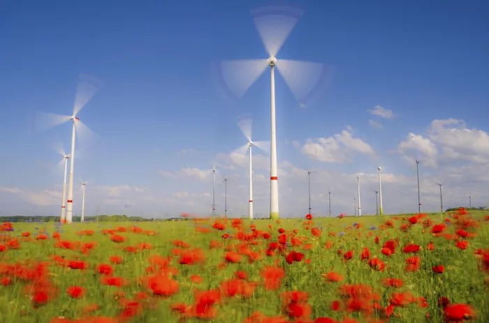 Framed Print : Wind farm, field with flower strips