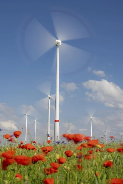 Framed Print : Wind farm, field with flower strips
