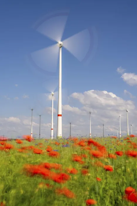 Framed Print : Wind farm, field with flower strips