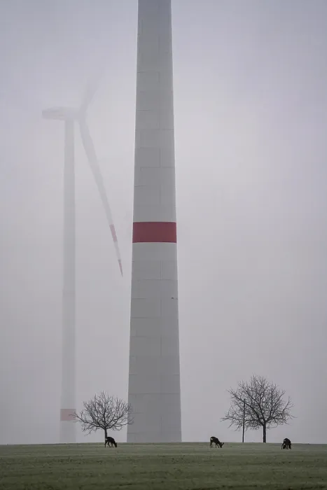 Framed Print : Wind farm in the fog, dark doldrums