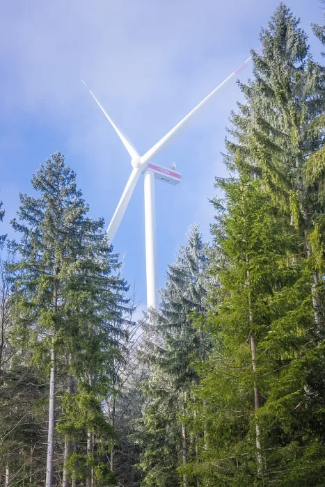 Framed Print : Wind turbine towering into the sky between green trees