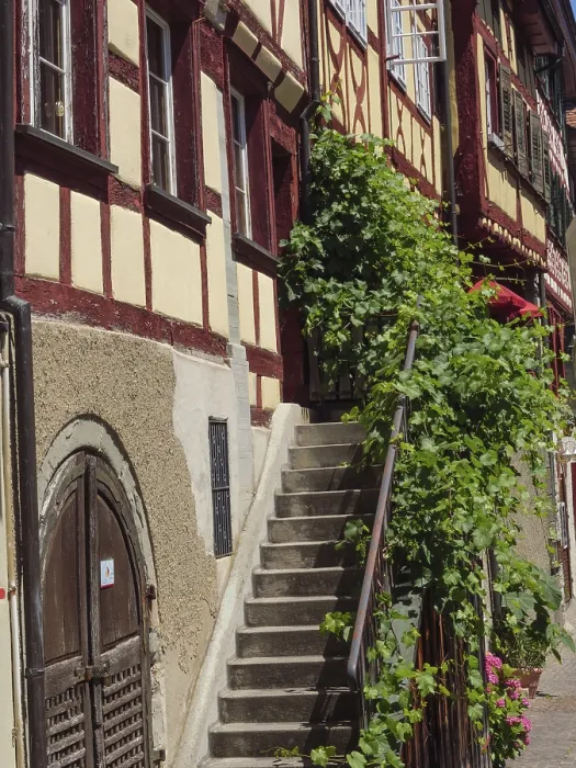 Framed Print : Winding alley with half-timbered buildings
