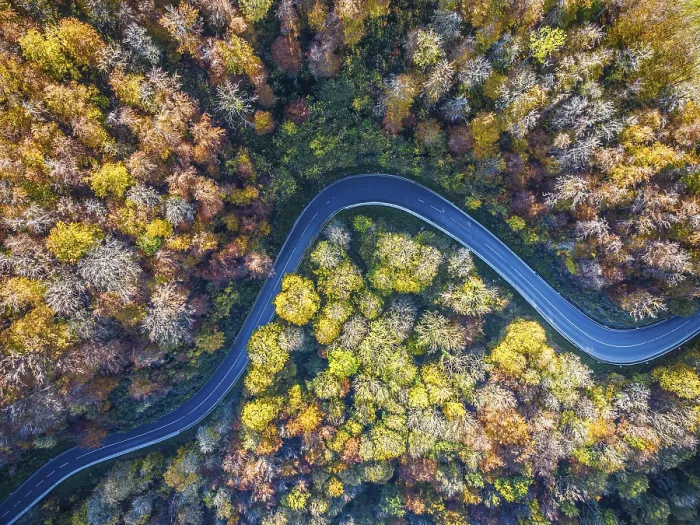 Framed Print : Winding country road through a forest with autumn-coloured trees Framed Print : Winding country road through a forest with autumn-coloured trees