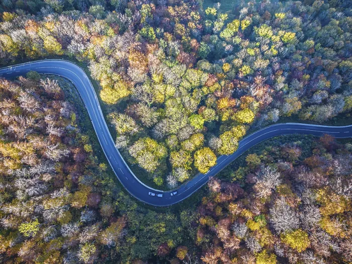 Framed Print : Winding country road through a forest with autumn-coloured trees