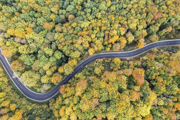 Framed Print : Winding road through a colourful forest in autumn
