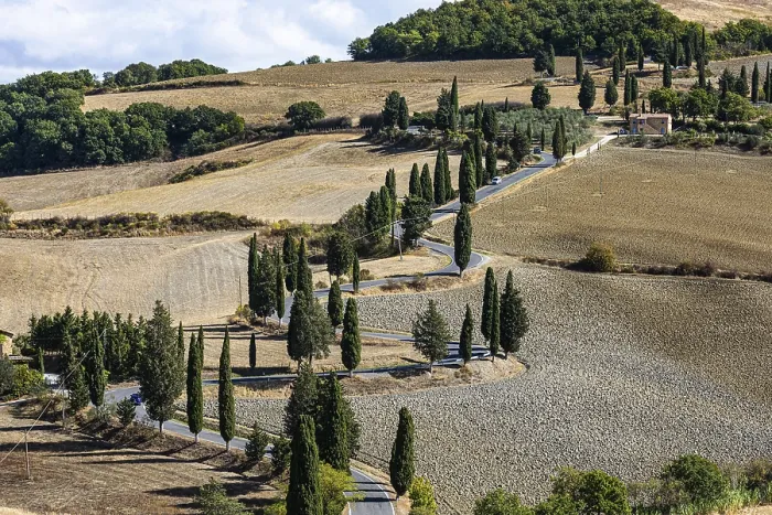 Framed Print : Winding road with cypress trees (Cupressus) leads through ploughed fields