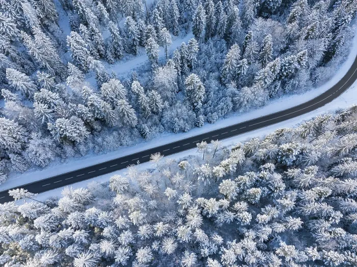 Framed Print : Winding road meanders through snow-covered trees in the winter forest