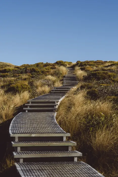 Framed Print : A winding wooden walkway leads through a grassy landscape towards the hill