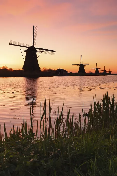 Framed Print : Windmills at sunrise, Kinderdijk Framed Print : Windmills at sunrise, Kinderdijk