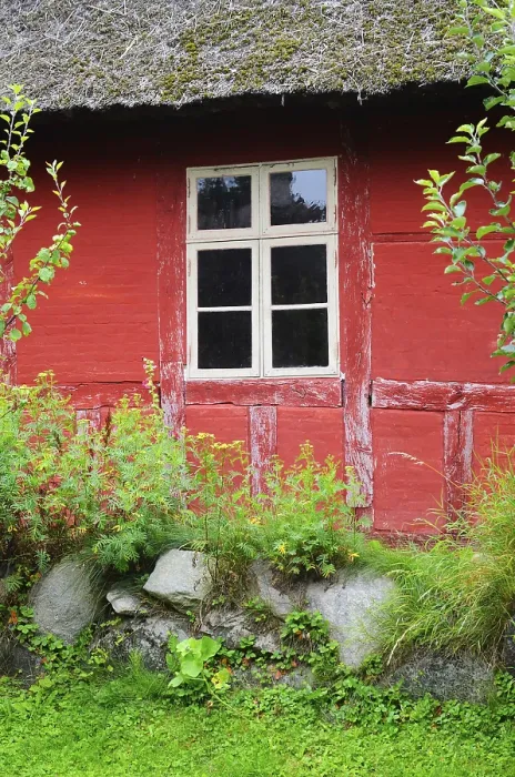 Framed Print : Window in red wall of half-timbered house with thatched roof in Den gamle by