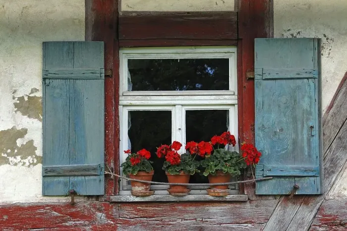 Framed Print : Window with shutters and flowering geraniums on the shepherds house built in 1744 Framed Print : Window with shutters and flowering geraniums on the shepherds house built in 1744
