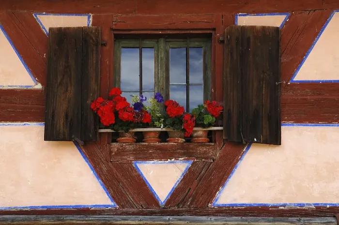 Framed Print : Window with shutters and geraniums on farmhouse Framed Print : Window with shutters and geraniums on farmhouse