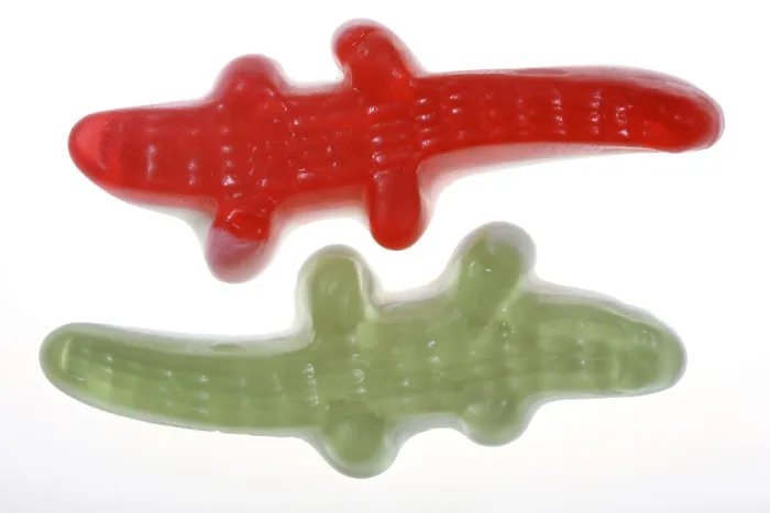 Framed Print : Wine gums, crocodile jujubes