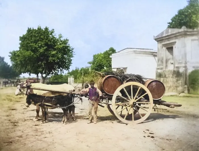Framed Print : Winegrower with a cart drawn by an ox and a donkey