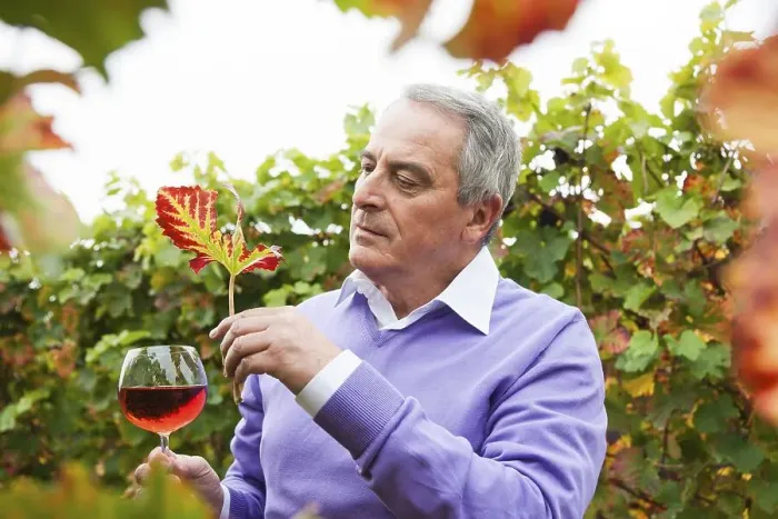 Framed Print : Winemaker or vintner holding a glass of wine in his vineyard