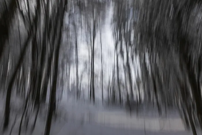 Framed Print : Winter atmosphere in the winter forest