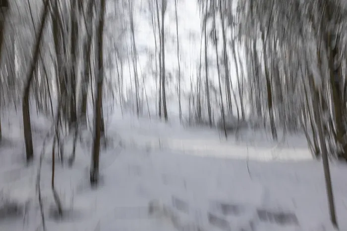 Framed Print : Winter atmosphere in the winter forest