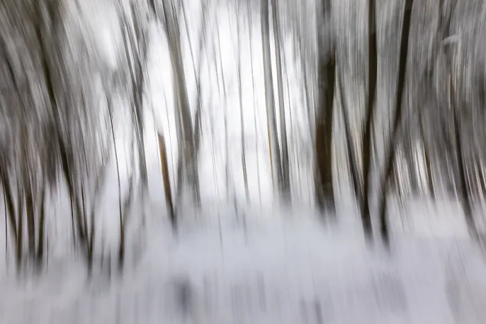 Framed Print : Winter atmosphere in the winter forest