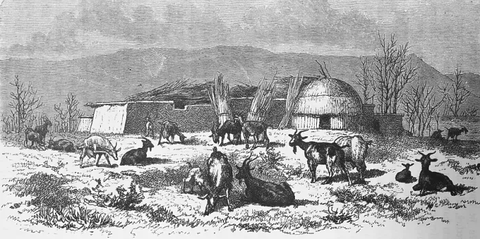 Framed Print : Winter camp of the Kyrgyz, nomads of the steppe, herd of goats, round hut, trees, grass, mountains, travelling in Asia, Central Asia, Kyrgyzstan, historical illustration 1887, Asia