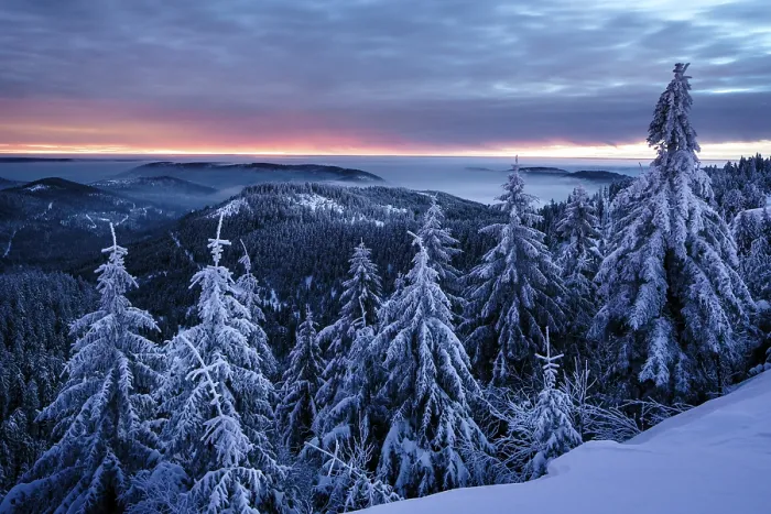 Framed Print : Winter dawn on the Hornisgrinde