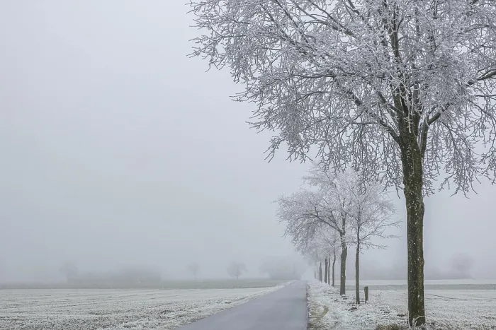 Framed Print : Winter day with fog and hoarfrost