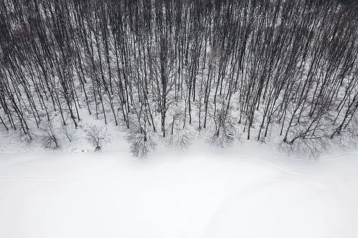 Framed Print : Winter forest from above. Aerial view forest and snow