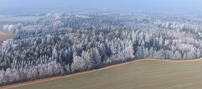 Framed Print : Winter forest aerial view of a mixed forest with spruces