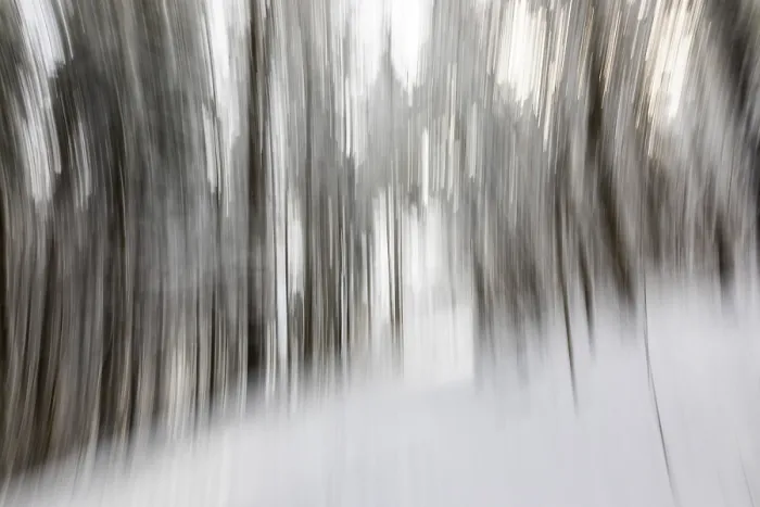 Framed Print : Winter forest, blur effect, pull-along effect Framed Print : Winter forest, blur effect, pull-along effect